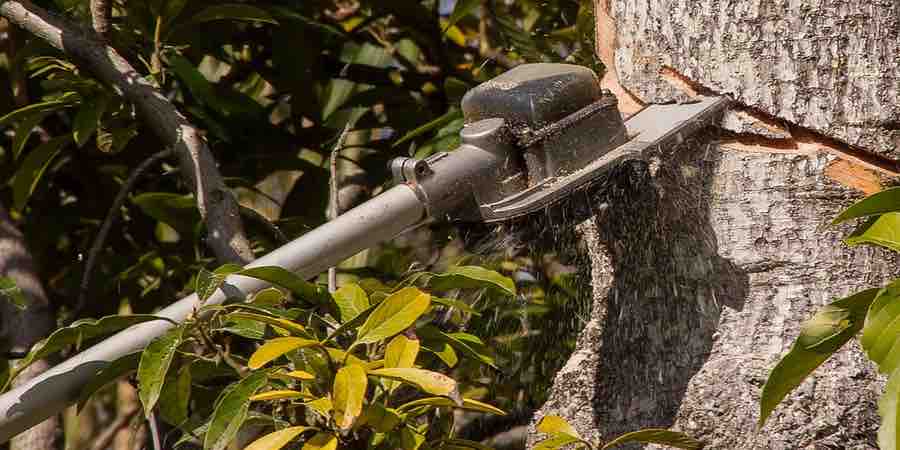 Podadora de altura gasolina