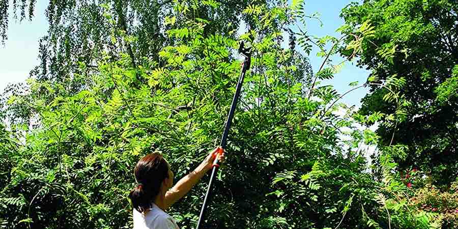 Podadora de altura manual