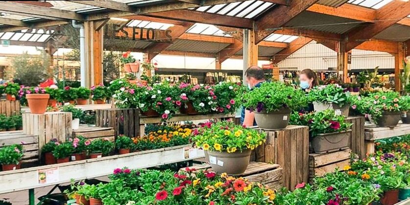 Las 10 mejores tiendas de jardinería Barcelona del 2025