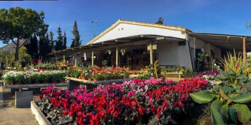 Las 10 mejores tiendas de jardinería Barcelona del 2025 2