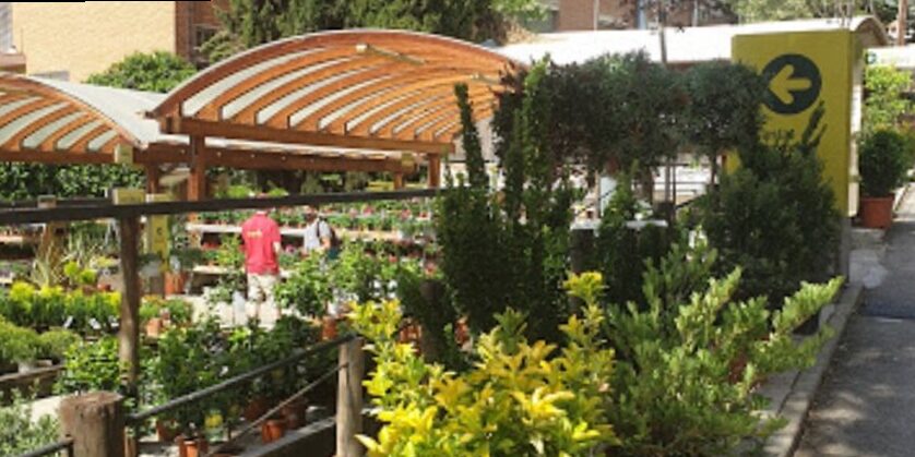 Las 5 Mejores Tiendas de Jardinería en Madrid del 2025 2