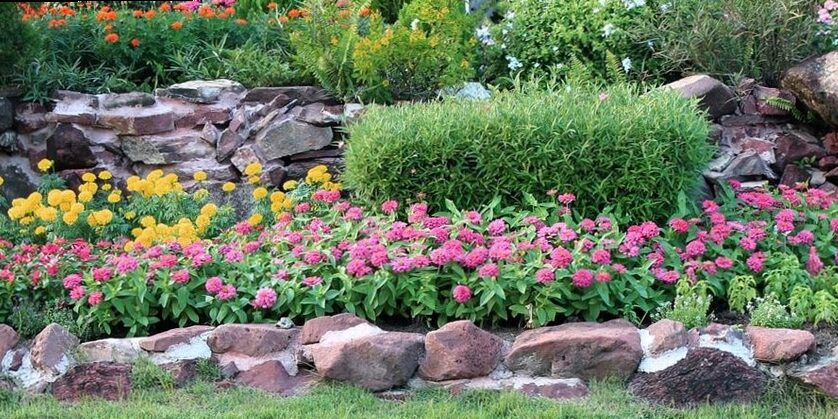 Las 5 Mejores Tiendas de jardinería en San Sebastián de 2025 2