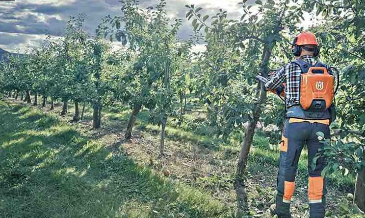 Husqvarna 236 | La Mejor Motosierra de Poda Husquarna de 2025