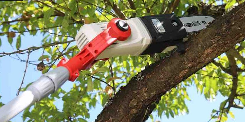 Podadora de Altura Eléctrica