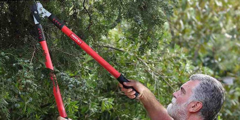 Las Mejores Podadoras de Altura Manuales de 2022
